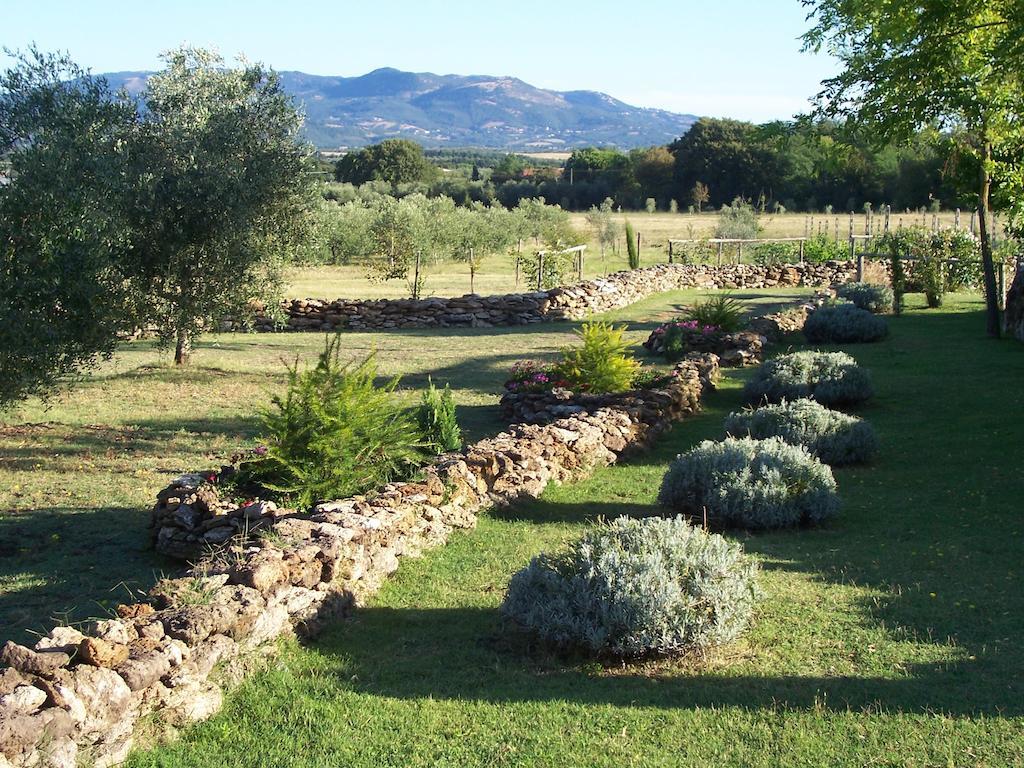 פיטיליאנו Agriturismo Il Grillo Parlante מראה חיצוני תמונה