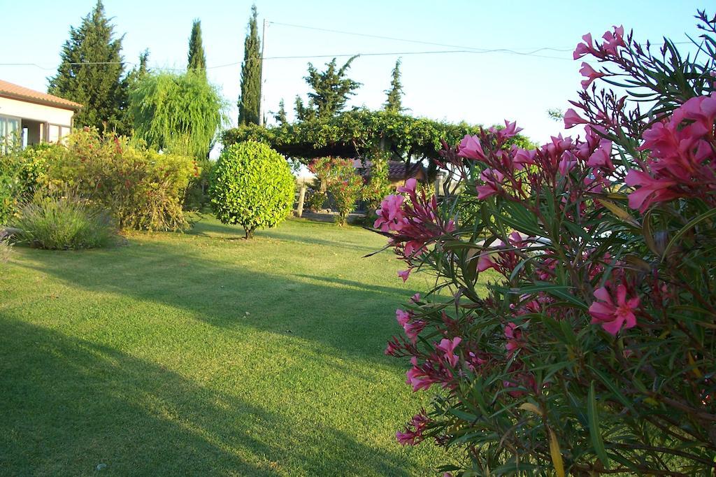 פיטיליאנו Agriturismo Il Grillo Parlante מראה חיצוני תמונה
