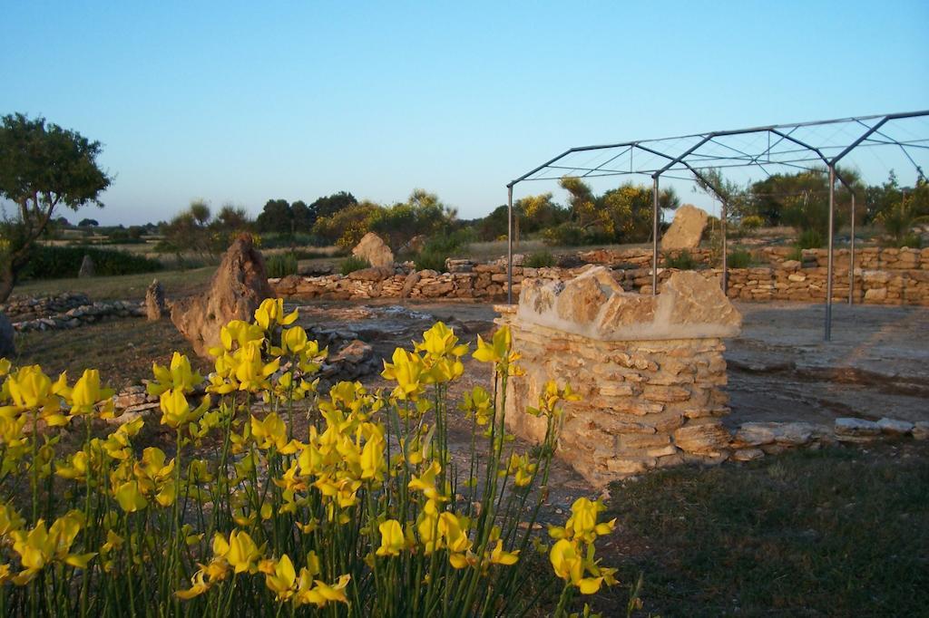 פיטיליאנו Agriturismo Il Grillo Parlante מראה חיצוני תמונה