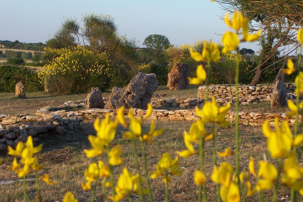 פיטיליאנו Agriturismo Il Grillo Parlante מראה חיצוני תמונה