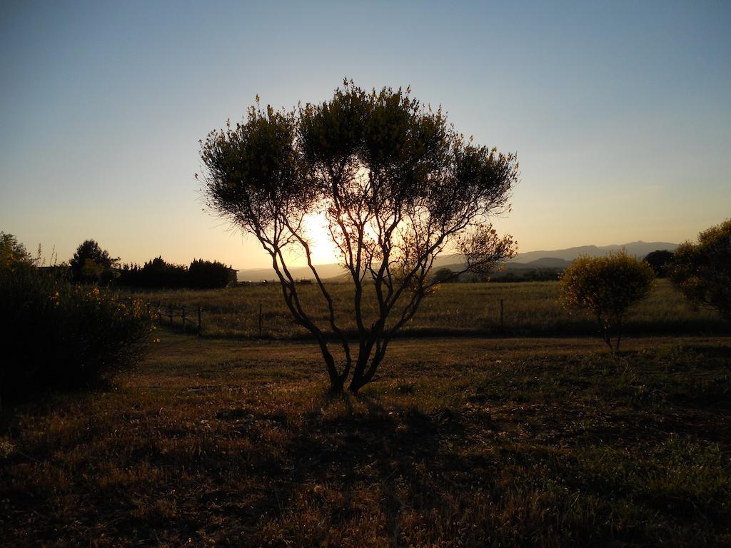 פיטיליאנו Agriturismo Il Grillo Parlante מראה חיצוני תמונה