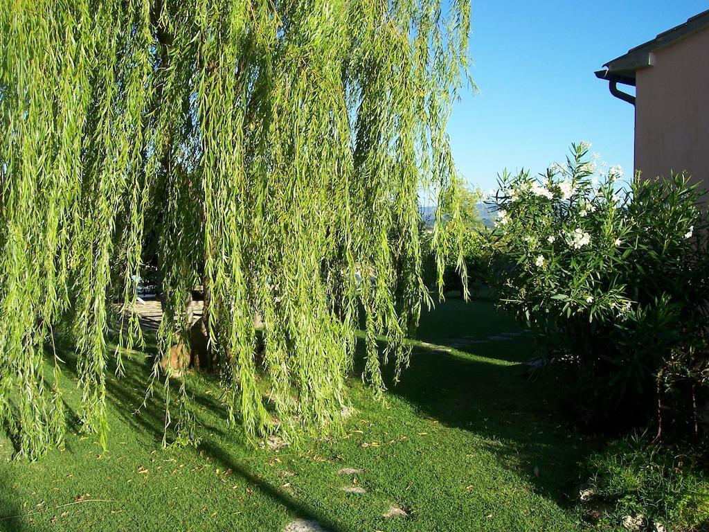 פיטיליאנו Agriturismo Il Grillo Parlante מראה חיצוני תמונה